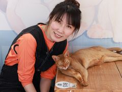 -猫小院猫主题咖啡厅(北锣店)
