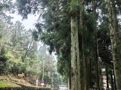 -鼓岭旅游度假区