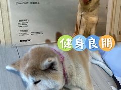 -YCHL Studios健身工作室(市二宫店)