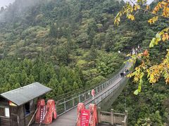 -娄山关景区