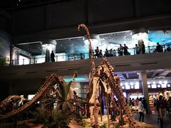 -自贡恐龙博物馆