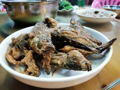 -琼海温泉鹅农家饭店