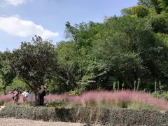 -宁波浙东大竹海景区