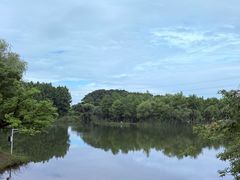 -梁鸿国家湿地公园