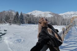 -DL HOPE明星造型