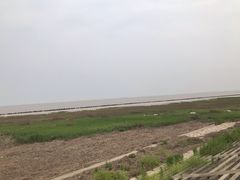 -南汇嘴观海公园