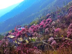 -九皇山景区
