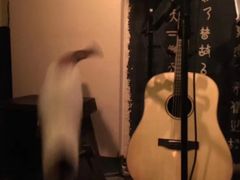 -江湖边·小生活