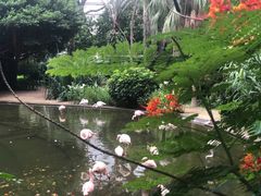 -九龙公园