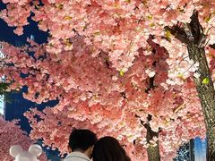 -东莞松山湖万象汇