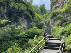 -茅兰沟国家森林公园