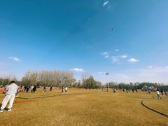-潇河湿地公园