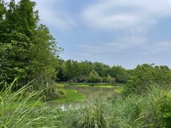 -桤木河湿地公园