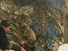 -费瑟代尔野生动物园