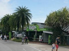 -圣淘沙天际线斜坡滑车