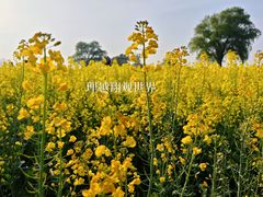 -锦屏公园