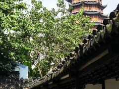-苏州丝绸博物馆