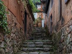 -杨家堂村