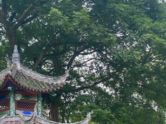 -丰都鬼城名山景区