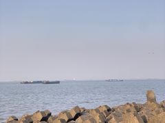 -上海滨江森林公园