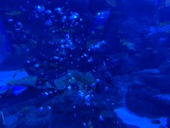 -成都浩海立方海洋公园