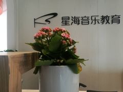 接待前台-星海音乐学校(曲江校区)