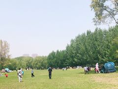 -长白岛森林公园