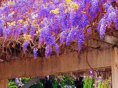 -西南交通大学(九里校区)