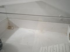 -康成宠物医院24H·CT·核磁共振