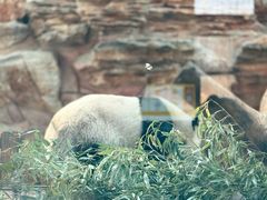 -石家庄市动物园