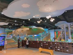 -杭州开元森泊度假乐园