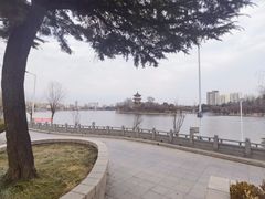 -莱西月湖公园