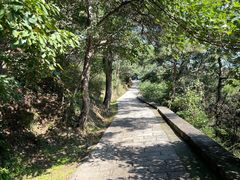 -金龙寺国家森林公园