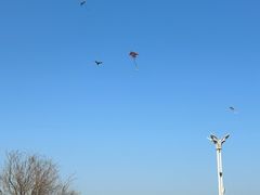 -池州市平天湖风景区