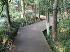 -杭州半山国家森林公园