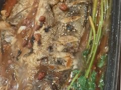 -東豫狼鲜货烧烤. 碳火烤鱼. 小龙虾(上海首店)