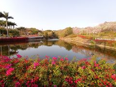 -广州莲花山旅游区