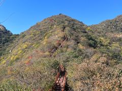 -大岭沟猕猴桃谷风景区