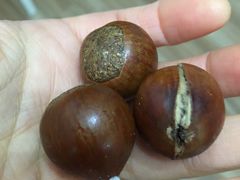 -邢记板栗(铜陵二店)