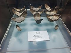 -衢州市博物馆