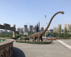 -恐龙探索乐园(磁器口店)