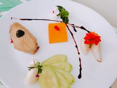 -小象托育