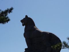 -帽儿山国家森林公园