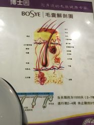 -博士园养发馆