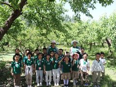 -北京市邮政管理局海慧寺幼儿园