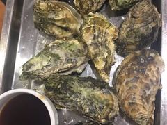 -胶东海鲜大排档(北太平庄店)