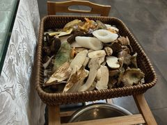 -山菌美食苑(振兴路店)