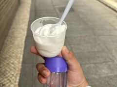 -洪馨椰子