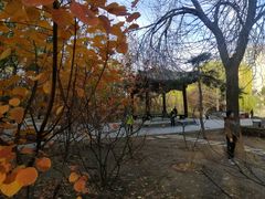 -元大都城垣遗址公园