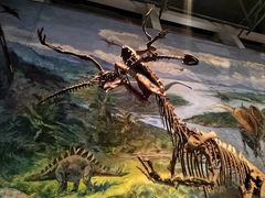 -自贡恐龙博物馆